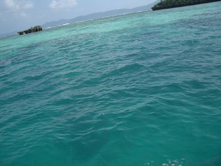 IMGP1168