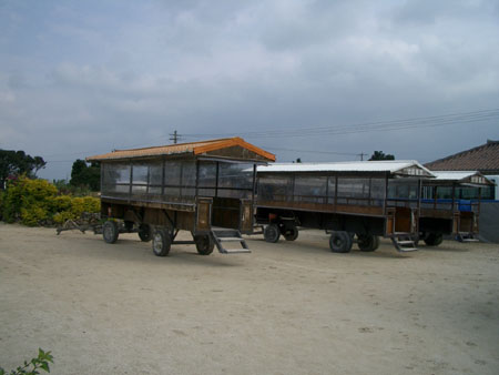 IMGP1226
