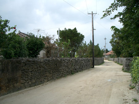 IMGP1233