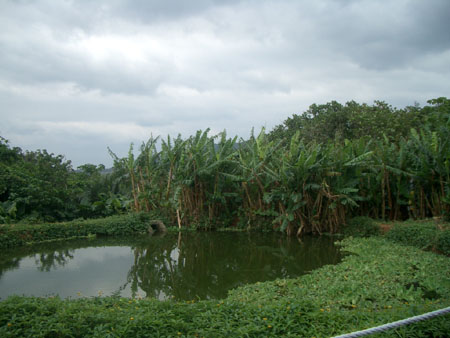 IMGP1330